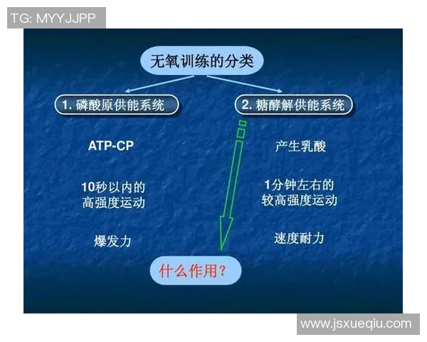 西安羽毛球队战术解析与控制体系的深度剖析与实践应用 西安羽毛球队战术解析与控制体系的深度剖析与实践应用